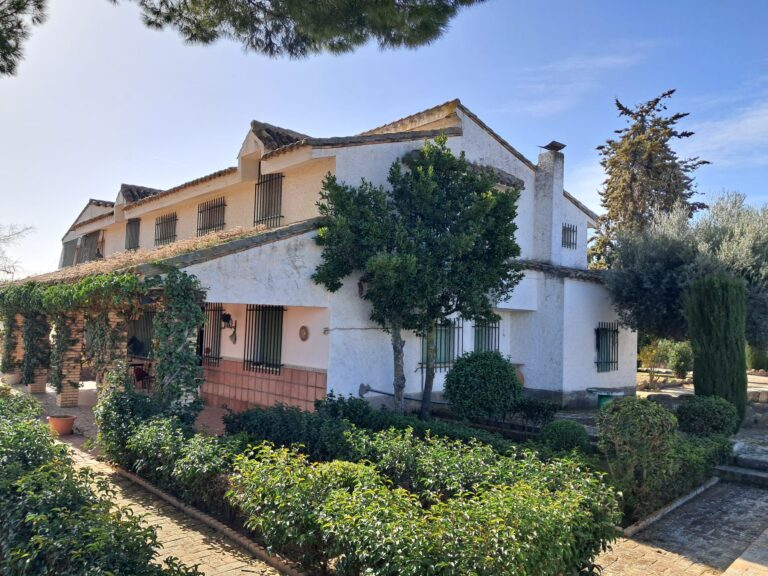 Finca con vivienda, piscina y olivar